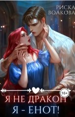 обложка книги Риска Волкова "Я не дракон. Я - енот!"
