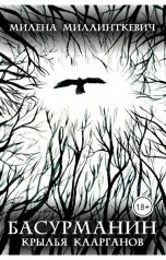 обложка книги Милена Миллинткевич "Басурманин. Крылья каарганов"