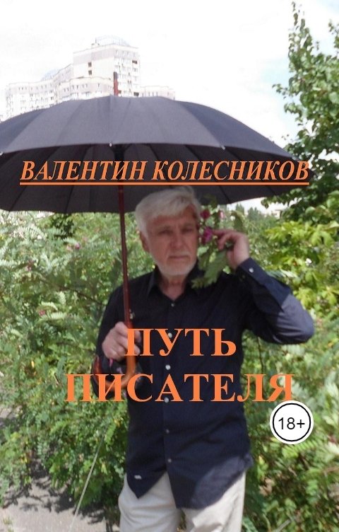 Обложка книги Валентин Колесников Путь писателя