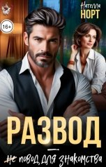 обложка книги Нателла Норт "Развод - не повод для знакомства"