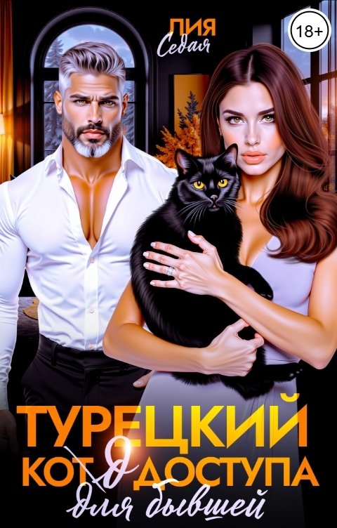 Обложка книги Лия Седая Турецкий код доступа для бывшей