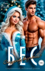 обложка книги Лана Сергеева "Бес. Снегурочку вызывали?"