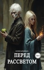 обложка книги Юлия Зарывных "Перед рассветом"