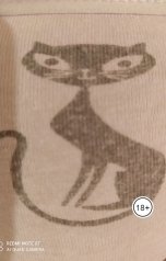 обложка книги Андрей Ланиус "Зловещий Лиман, или всё дело в кошках..."