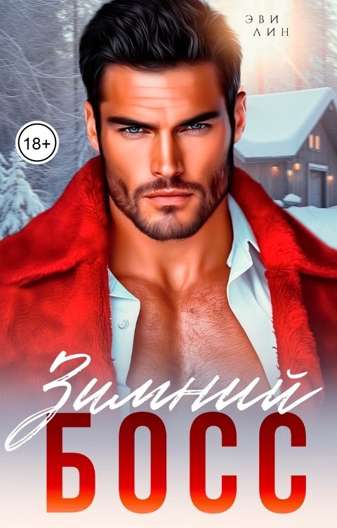Обложка книги Эви Лин Зимний босс