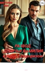 обложка книги Виктория Ник "Развод. Девичья фамилия или борщ с сюрпризом"