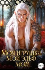 обложка книги Баяна Ивановна, Вера Ривер "Моя игрушка. Мой эльф. Мой..."
