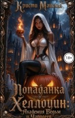 обложка книги Кристи Майская "Академия Ведьм и Чародеев"