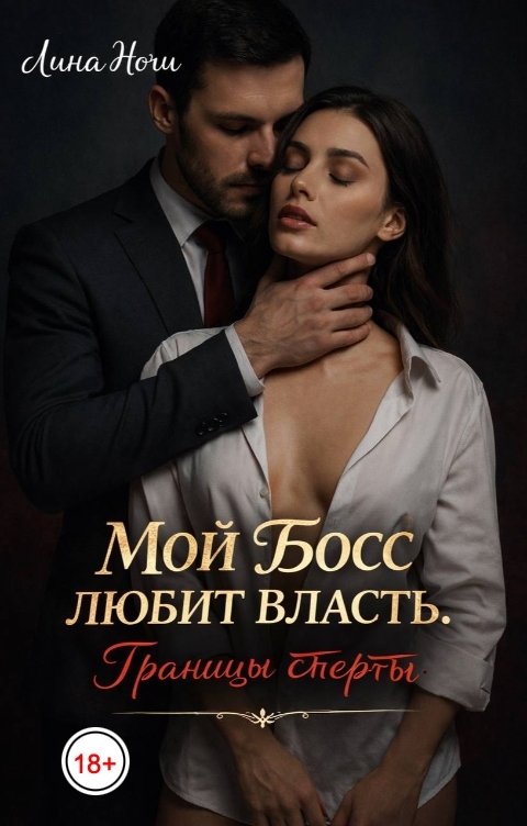 Обложка книги Лина Ночи Мой босс любит власть. Границы стерты