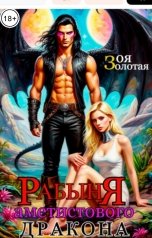 обложка книги Зоя Золотая "Рабыня аметистового Дракона"