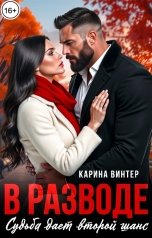 обложка книги Карина Винтер "В разводе. Судьба дает второй шанс"