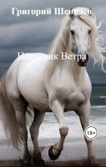 обложка книги Григорий Шепелев "Наездник Ветра"