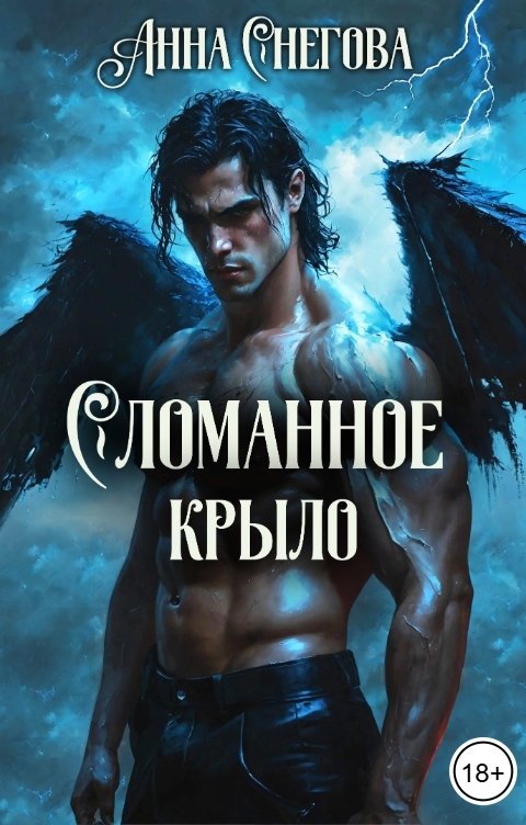 Обложка книги Анна Снегова Сломанное крыло