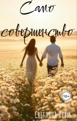 обложка книги Светлана Леви "Само совершенство"
