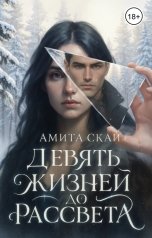 обложка книги Амита Скай "Девять жизней до рассвета"