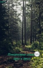 обложка книги Лия-74 "Повернутые спиной друг к другу"