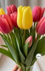 обложка книги Earl-007 "8 марта"