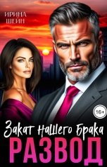 обложка книги Ирина Шейн "Развод. Закат нашего брака"