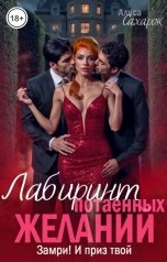 обложка книги Алиса Сахарок "Лабиринт потаенных желаний. Замри! И приз твой"