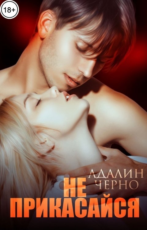 Обложка книги Адалин Черно Не прикасайся