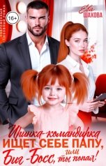 обложка книги Ева Шахова "Иринка-командирка ищет себе папу, или Биг-Босс, ты попал!"