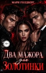 обложка книги Мари Голдберг "Два мажора для Золотинки"