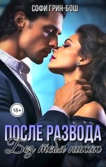 обложка книги Софи Грин-Бош "После развода. Без тебя никак"