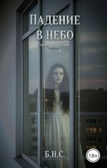 обложка книги Б.Н.С. "Падение в небо"