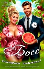 обложка книги Лана Сергеева "Босс, электрика вызывали?"