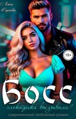 обложка книги Лана Сергеева "Босс, электрика вызывали?"