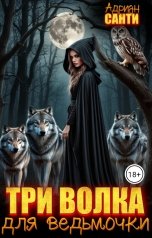 обложка книги Адриан Санти "Три волка для ведьмочки"
