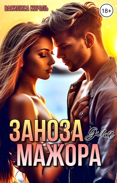 Обложка книги Василиса Король Заноза для мажора