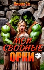 обложка книги Лиора Эл "Мои сводные орки"