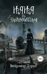 обложка книги Владимир Торин "Няня из Чайноботтам"