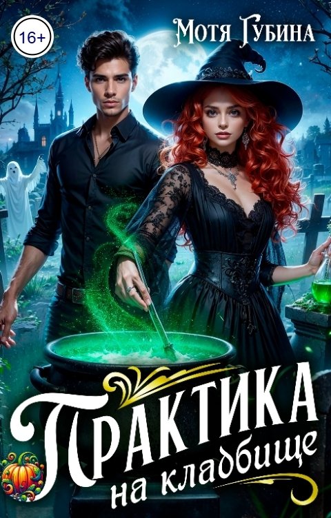 Обложка книги Мотя Губина Практика на кладбище