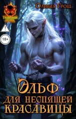 обложка книги Оливия Грош "Эльф для не спящей красавицы"