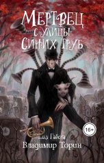 обложка книги Владимир Торин "Мертвец с улицы Синих Труб"