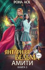 обложка книги Рона Аск "Янтарная ведьма Амити"