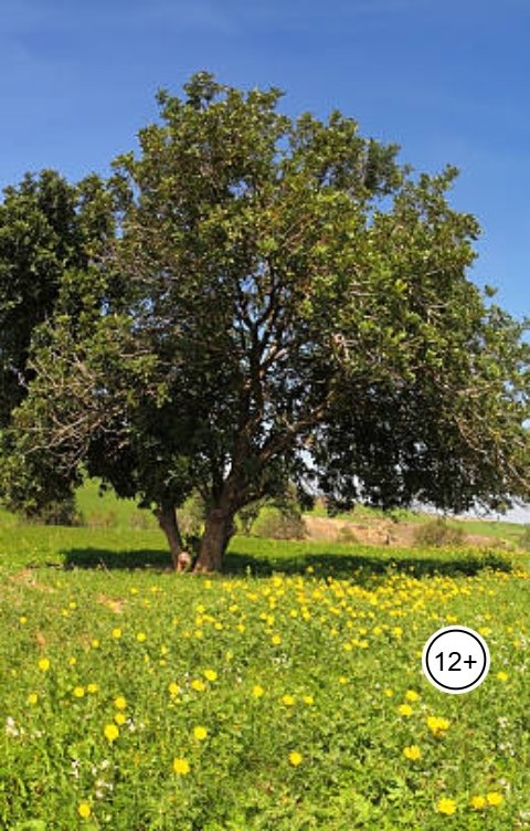 Обложка книги Александр Посохов Философские басни Посохова