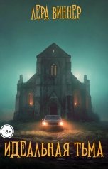 обложка книги Лера Виннер "Идеальная тьма"