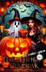 обложка книги Аселина Арсеньева "Тыквенный призрак в моём доме"