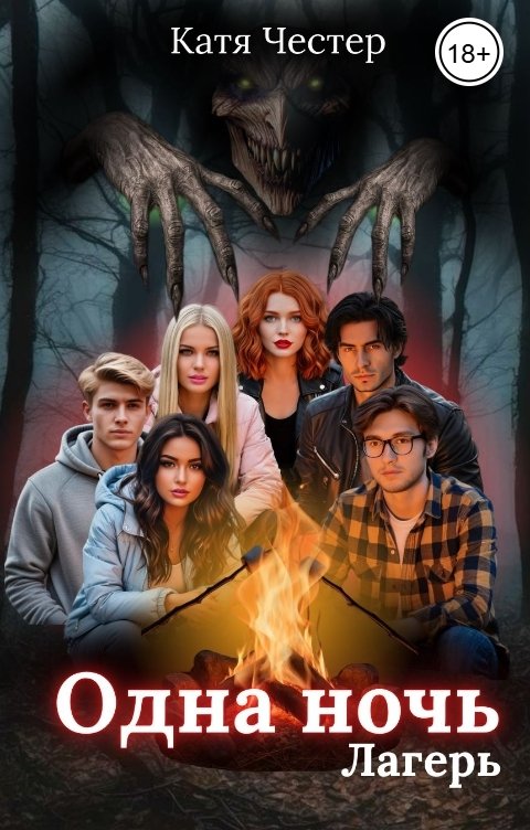Обложка книги Катя Честер Одна ночь. Лагерь