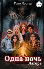 обложка книги Катя Честер "Одна ночь. Лагерь"