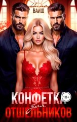 обложка книги Нина Вайш "Конфетка для отшельников"