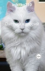 обложка книги inikitko710 "Андроид приложение. Хороший старт бизнеса"