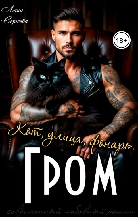 Обложка книги Лана Сергеева Гром. Кот, улица, фонарь.