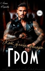 обложка книги Лана Сергеева "Гром. Кот, улица, фонарь."