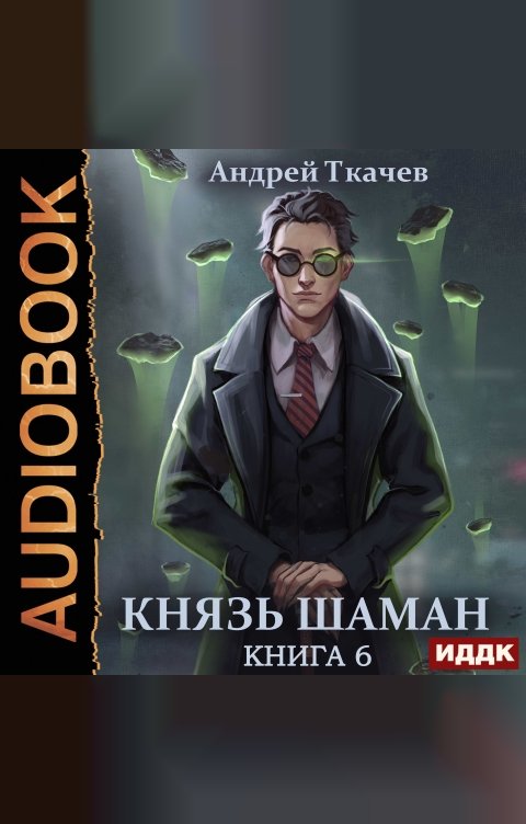 Обложка книги ИДДК Князь шаман. Книга 6