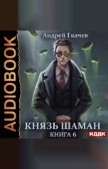 обложка книги Ткачев Андрей "Князь шаман. Книга 6"