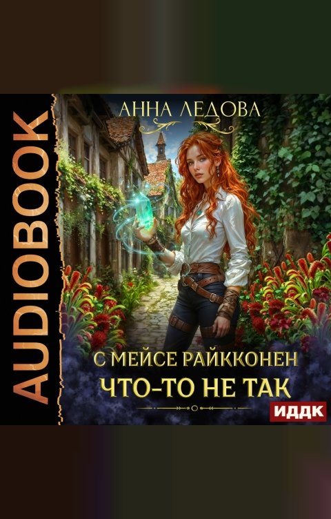 Обложка книги ИДДК С мейсе Райкконен что-то не так